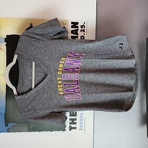 UAlbany Great Danes Tee